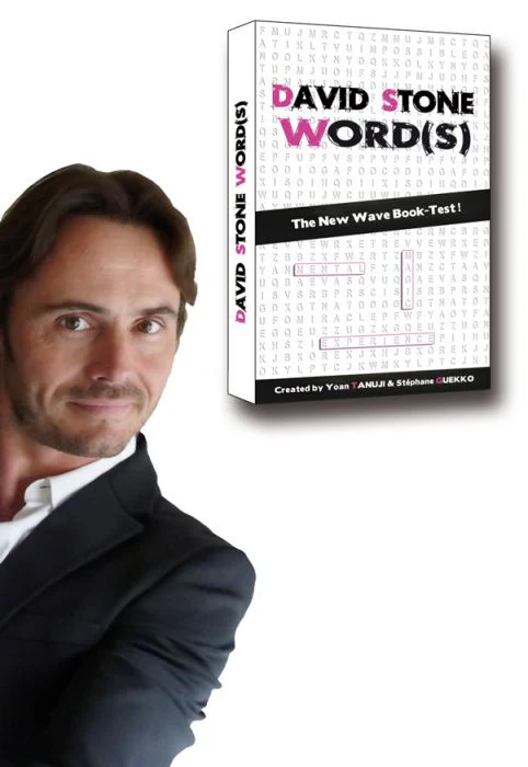 David Stone Words (Mots mêlés test) - Yoan Tanuji 4 David Stone Words (Mots mêlés test) - Yoan Tanuji – Image 4