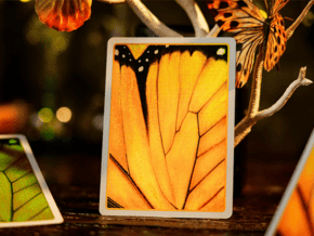 Amber Golden Morpho Playing Cards by TCC Fashion