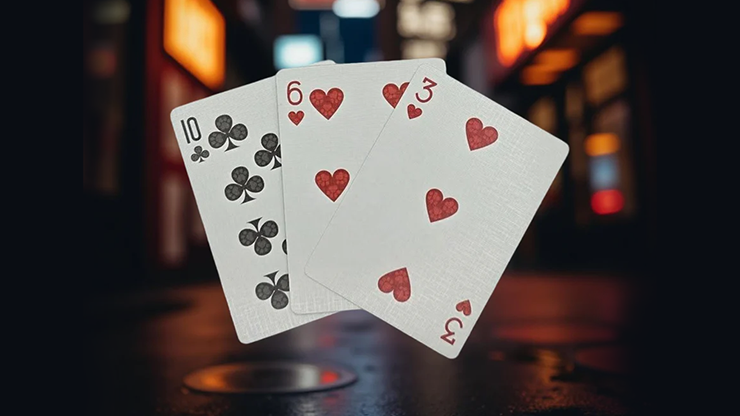 Biker Cats Playing Cards by Collectable Playing Cards 2 Biker Cats Playing Cards by Collectable Playing Cards – Image 2