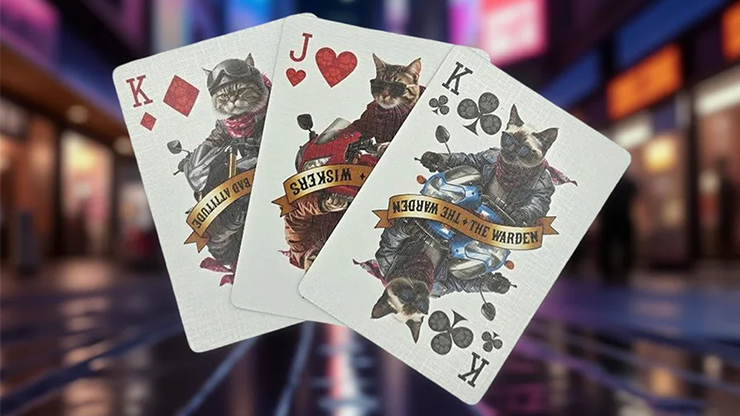 Biker Cats Playing Cards by Collectable Playing Cards 5 Biker Cats Playing Cards by Collectable Playing Cards – Image 5