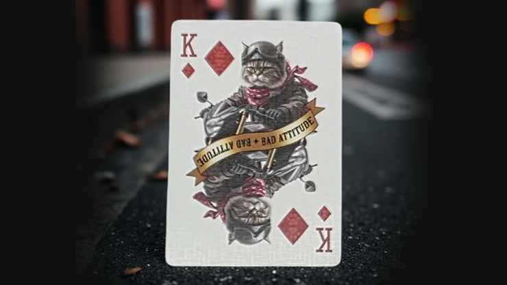 Biker Cats Playing Cards by Collectable Playing Cards 6 Biker Cats Playing Cards by Collectable Playing Cards – Image 6