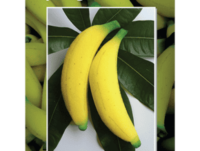 Sponge Bananas by Alan Wong – article de magie | Abracadabreizh
