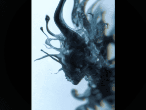 Pièce de magie "Progeny" par Fraser Parker, illusion d'une créature marine mystérieuse.