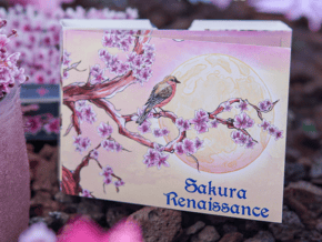 Sakura Renaissance 3D Pop-up Sunlight Edition Playing Cards – article de magie | Abracadabreizh