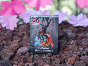 Sakura Renaissance Moonlight Standard Edition Playing Cards – article de magie | Abracadabreizh