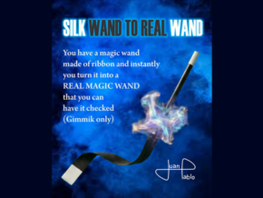 Silk Wand to Real Wand by Juan Pablo – article de magie | Abracadabreizh