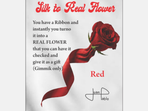Silk to Real Flower (Red) by Juan Pablo – article de magie | Abracadabreizh