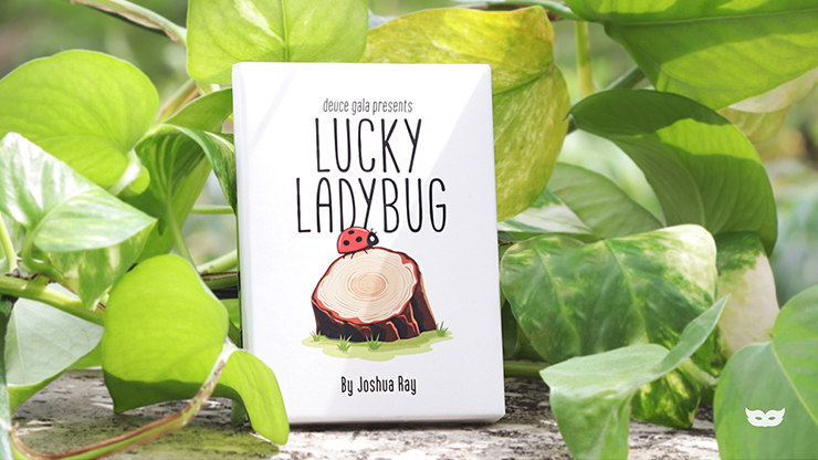 Lucky Ladybug (Leaf) by Joshua Ray & Deuce Gala Magic 5 Lucky Ladybug (Leaf) by Joshua Ray & Deuce Gala Magic – Image 5