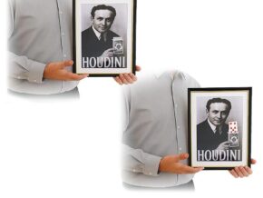 Houdini Prediction Frame