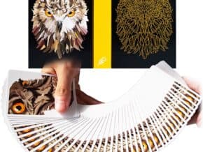 The Watcher Playing Cards – article de magie | Abracadabreizh
