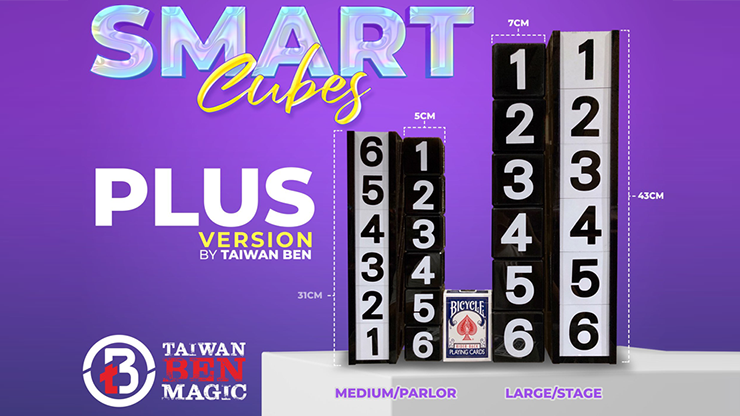 Smart Cubes - Taïwan Ben (2 tailles)