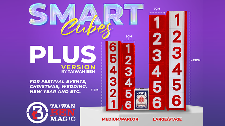 Smart Cubes - Taïwan Ben (2 tailles) – Image 3